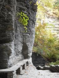 treman-park-gorge-wall-with-stone-bench-upper-treman-park-gorge-pathways-and-stone-stairs-10-7-15