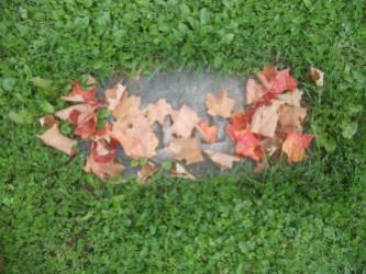 walking-along-through-autumn-naturally-arranged-a-few-leaves-on-a-grave